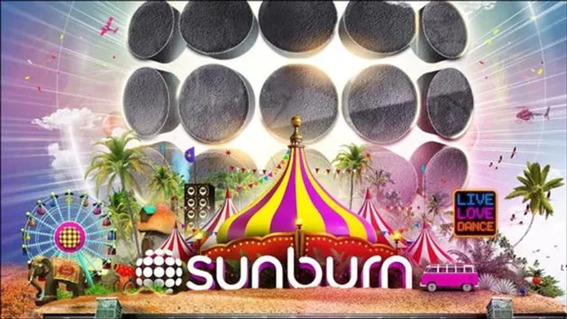 best music festivals in india in 2022 - sunburn festival