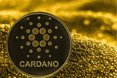 cheapest cryptocurrency to invest in india - cardano